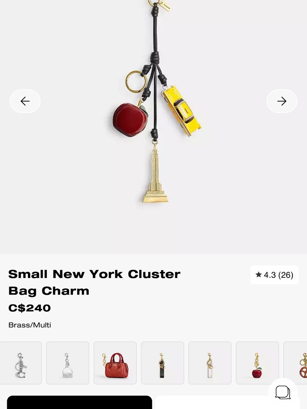 Coach New York Cluster bag charm
